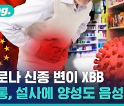 [비디오머그] XBB가 설사 유발? 주가도 들썩였다는데, 사실은?