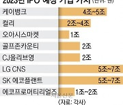 IPO 한파 풀릴까… “공모 금액 작년의 반토막 그칠 듯”