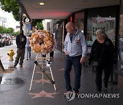 USA HOLLYWOOD WALK OF FAME