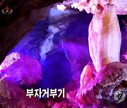 평북 룡문대굴의 '부자거북이' 돌순