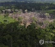 룰라 취임에 재가동되는 '아마존 기금'…영국도 참여 논의