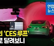 [영상] 머스크 '루프' 엇갈린 반응…"놀이기구 같아" "별거 없어"