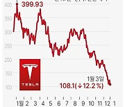 [그래픽] 테슬라 주가 추이