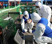 인사처, 경력채용 규정 완화…가축방역관·의사 등 인력난 해소