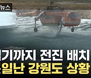 [자막뉴스] 불안감 최고조 ...심각한 강원도 '비상상황'