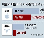 애플, 새해 첫 거래일 시총 2조달러 붕괴… 테슬라는 12% 급락