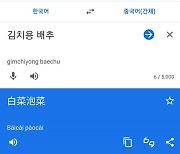 구글·네이버 번역기서 ‘김치용 배추’ 중국어 번역하면 ‘신치’ 아닌 ‘파오차이’로