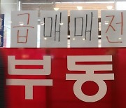 내년까지 집값 10~20% 떨어지면, 전세 8건중 1건 ‘깡통’ 된다