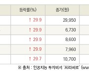 [fnRASSI]오늘의 상한가, 금호건설우 29.9% ↑