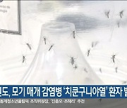 강원도, 모기 매개 감염병 ‘치쿤구니야열’ 환자 발생