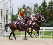 한국마사회, 경마시행 규모 확대 '코리아컵 총상금 규모 16억'