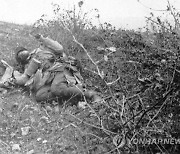 France African War Veterans