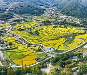 [경남소식] 지역특화사업 발굴 용역 시행…자연경관 등 3개 분야