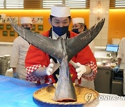 epaselect JAPAN GASTRONOMY TUNA FISH AUCTION