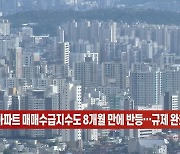 (영상)서울 아파트 매매수급지수도 8개월 만에 반등…규제 완화 영향