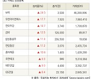 [fnRASSI]장마감, 거래소 상승 종목(보락 24.5% ↑)