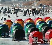 인파로 붐비는 평창송어축제