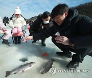 "반갑다 송어"