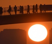 서울 구청장 2023 신년사 살펴보니…경제살리기·안전·구민만족