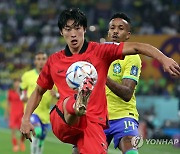 축구 국가대표 조규성, 독일 마인츠 입단 가능성…영국매체 보도