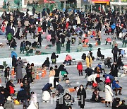 [포토]화천산천어축제, 즐기는 시민들