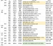 [1월 2주 분양동향] ﻿안양 평촌센텀퍼스트 등 4214가구 공급