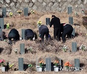 설 앞두고 조상묘 찾은 가족