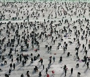 화천산천어축제 북새통