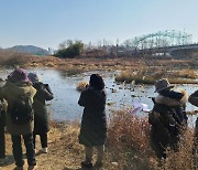 시민 참여 '광주 도시새 총조사' 첫 실시…멸종위기·천연기념물 다수 발견