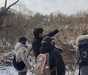 광주 도심에 가장 많은 새는 참새…멸종위기종도 확인