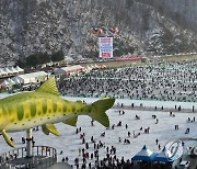 화천 겨울축제 얼음벌판 가득 메운 관광객