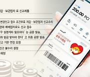 300만 실사용 '페이코인' 서비스 중단 위기…시총 3300억 증발