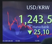 원·달러 환율 1243.5원에 마감.. 7개월만 1240원대