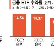 호실적·배당 확대 기대감… 연초부터 빛 발하는 금융株