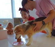 '♥김무열' 윤승아, 7년 만에 임신 "반려견 4마리 걱정되지만 청소 열심히 할 것" [인스타]