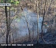 강원 동해안 산불 48% 원인 미상…주민 불안