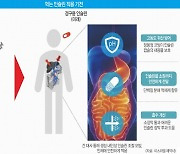 부작용 없고 편리 ‘먹는 인슐린’ 개발… 주사제 대체는 글쎄