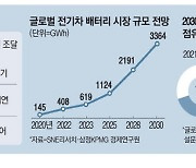 '쩐의 전쟁'서 고전하는 K배터리 3社