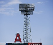 MLB 에인절스, 6개 그룹에서 인수 관심