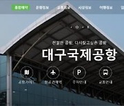 대구공항, 설 연휴 일본·동남아 노선 예약률 87∼95%