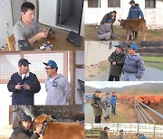 주상욱, 연기 대상 받아도 '소'는 너무 무서워…100여 마리 등장에 기겁('세컨하우스')