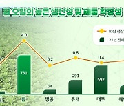 포스코인터 인니 팜유 정제사업 진출