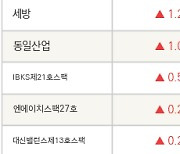 [fnRASSI]MDS테크, IBKS제18호스팩 등 17종목 52주 신고가 경신