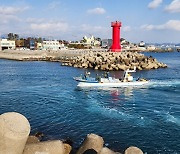 부산 기장군 “동백해역에 바다숲 조성된다”