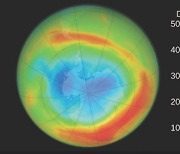 ‘노력’이 메운 오존층 구멍
