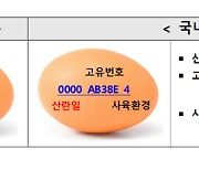 농식품부 “스페인산 달걀 121만개 이르면 15일 시중 공급”…농가 반발