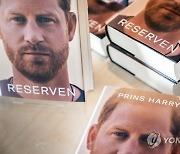 DENMARK  LITERATURE PRINCE HARRY SPARE