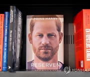 DENMARK  LITERATURE PRINCE HARRY SPARE