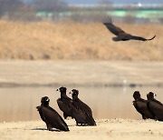 1월의 봄날…오늘 낮 최고 16.7도, 내일은 더 포근