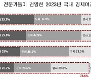 경제·경영 전문가들 76% "올해 저성장 고착화 원년 될 것"